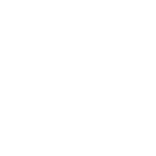 Software Tester